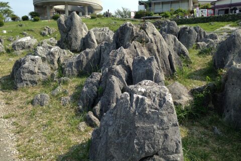 秋吉台の石灰岩