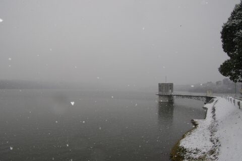 mannolake12