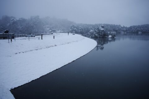 mannolake13