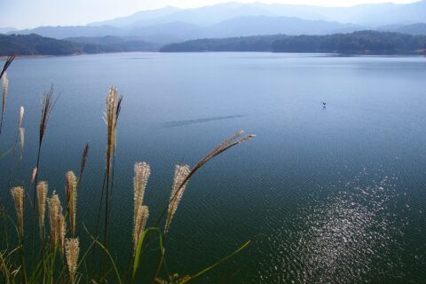 mannolake3