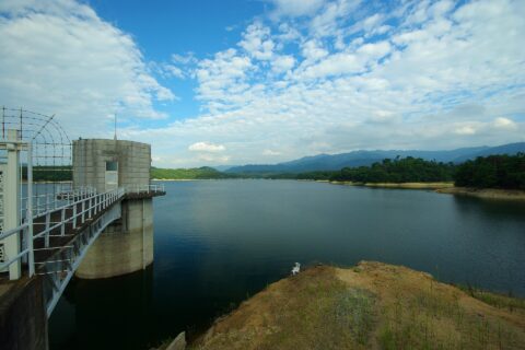 mannolake6