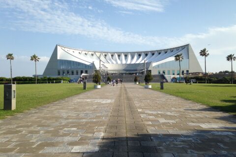 マリンワールド海の中道