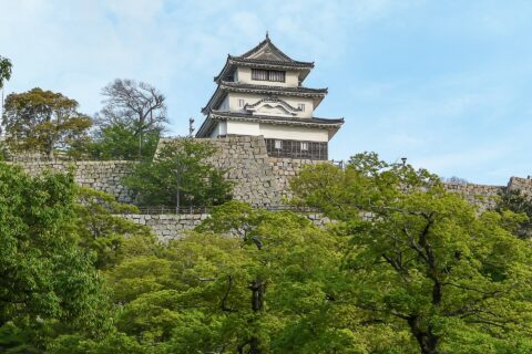 香川県丸亀市にある丸亀城。大手二の門付近より望む天守（北面）。