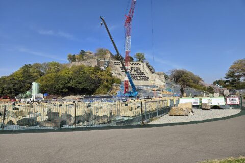 丸亀城 石垣崩落現場（石垣下から）