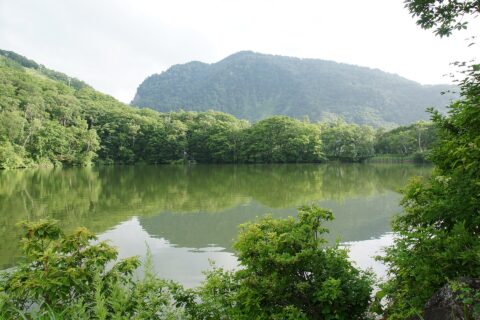 志賀高原の丸池, 長野県山ノ内町
