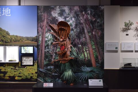 The “Masked God Boze of Akusekijima Island” exhibit at the Kagoshima Prefectural Museum.