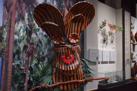 The “Masked God Boze of Akusekijima Island” exhibit at the Kagoshima Prefectural Museum.