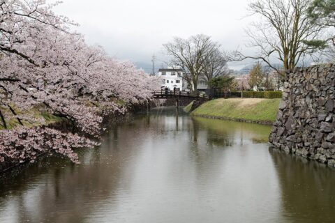 Matsumoto castle
