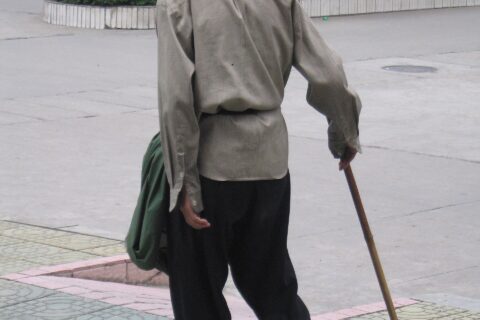 Trash roamer from Meizhou, ChinaMeizhou Roamer
