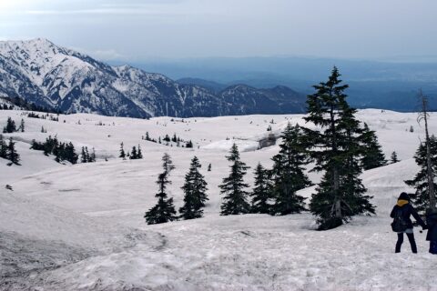 弥陀ヶ原にて。所在地は富山県立山町。