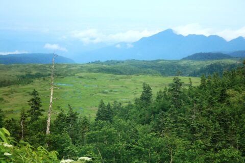 Midagahara seen from Tateyama Highland Bus in Tateyama, Toyama prefecture, Japan.