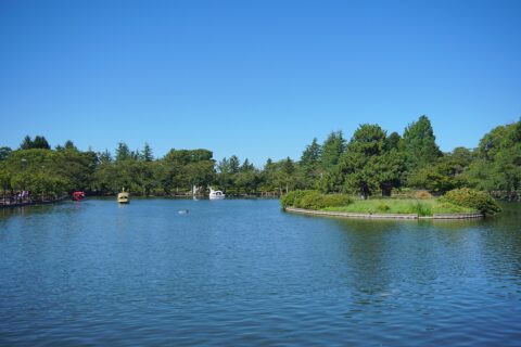 見晴ヶ池（青森県平川市）。胸肩神社のある鏡ヶ池に隣接し、不忍池のような光景が見られる。