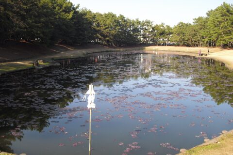 みそぎ池。2010‎年‎2‎月‎23‎日撮影。