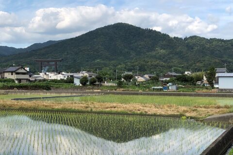 三輪山 (2019年6月)