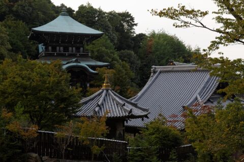 Miyajima 2013