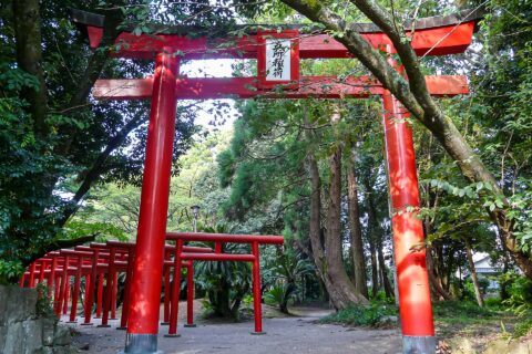 宮崎県宮崎市神宮にある宮崎神宮。境内社 五所稲荷神社 鳥居