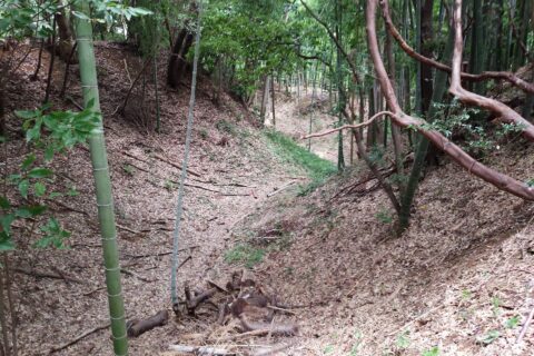 Moat between Honmaru base and small base