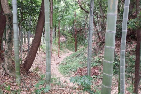 Moat of Kozukue Castle