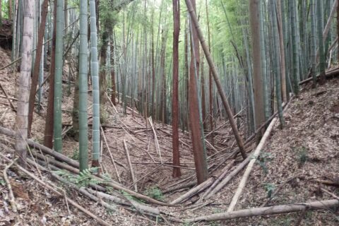 Moat of Settei base(Settei Compound)