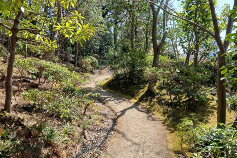 ​駿府城公園の庭園。