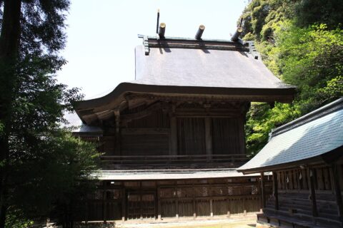 物部神社 本殿