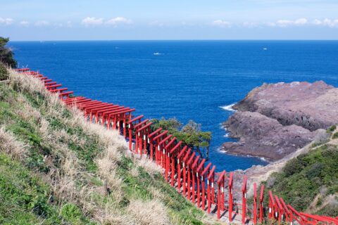 Motonosumi Shrine is located in the northwest part of Yamaguchi Prefecture and away from major towns. Established in 1955, reportedly at the behest of a white fox spirit, Motonosumi-jinja Shrine and its many red torii ga