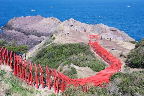 Motonosumi Shrine is located in the northwest part of Yamaguchi Prefecture and away from major towns. Established in 1955, reportedly at the behest of a white fox spirit, Motonosumi-jinja Shrine and its many red torii ga