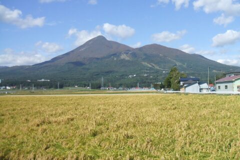 色づく稲穂と磐梯山。福島県猪苗代町。