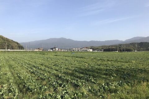 ​福岡県糸島市神在・福岡県道572号より望む羽金山