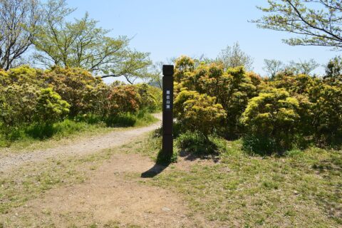 二上山 雌岳山頂
