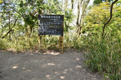 二上山 雄岳山頂
