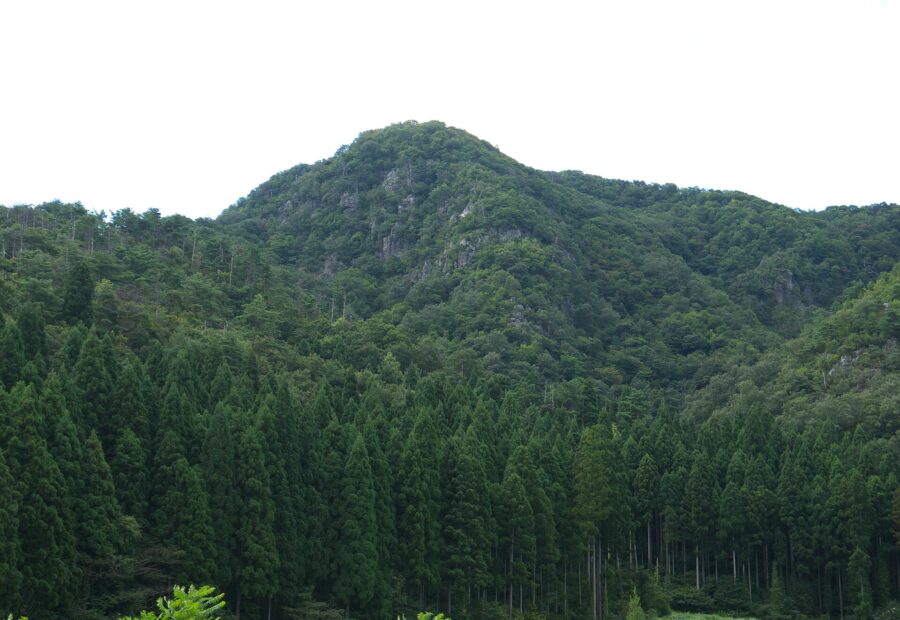 Somayama Castle, Fukui