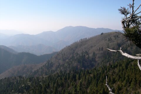 安蔵寺山を東北東から望む。大神ヶ岳から撮影。なお座標は目安です。
