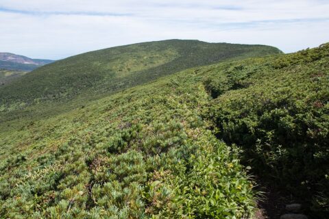 Mount Byobudake, Zao Mountains, Miyagi Pref., Japan