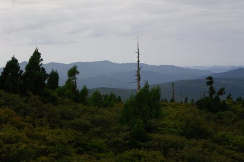 ​寂地山(最奥)を北北東から望む。旧羅漢山から撮影。なお座標は目安です。