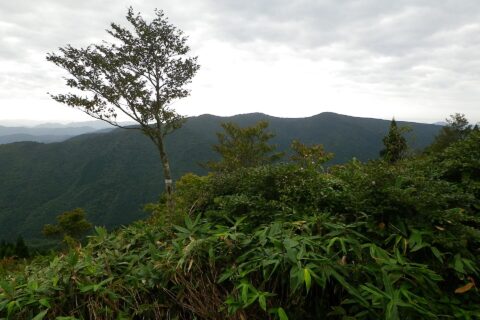 ​十方山を北西から望む。恐羅漢山から撮影。