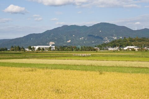 桜川市より望む加波山