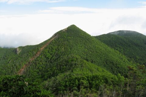 Mount Kobushi (Kobushi-ga-take) seen from Mount Tokusa (Tokusa-yama) in the Okuchichibu Mountains, Japan
