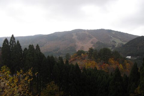 恐羅漢山を東から望む。