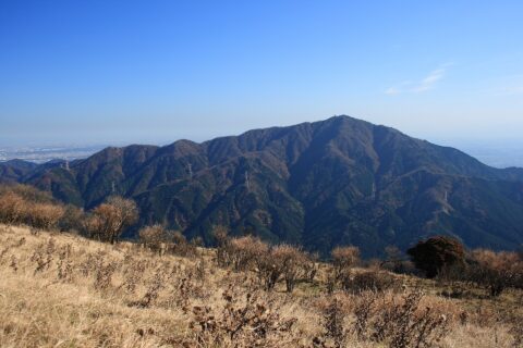 三ノ塔付近より望む大山