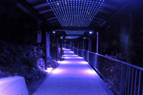 稲佐山にある長崎ロープウェイ稲佐岳駅と展望台を結ぶ連絡通路。