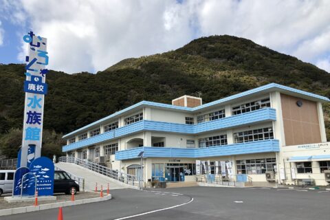 ja:むろと廃校水族館