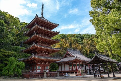 広島県福山市草戸町にある真言宗大覚寺派の明王院。国宝・五重塔と国宝・本堂。