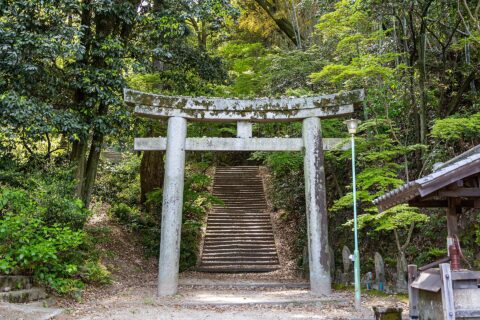 広島県福山市草戸町にある真言宗大覚寺派の明王院。五重塔左脇にある、明王院裏の草戸山（愛宕山）山頂に鎮座する草戸愛宕神社への参道入り口の鳥居。