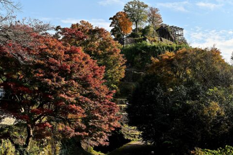 ​苗木城の紅葉