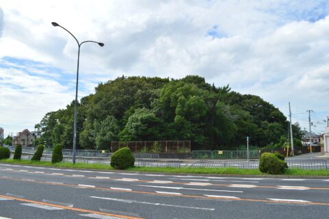 永山古墳 (堺市) 全景