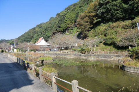 七尾城跡（益田市）の水堀跡。現在は七尾公園の花菖蒲園。