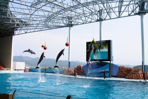 南紀白浜アドベンチャーワールド