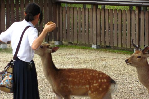 Nara