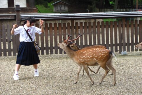 Nara